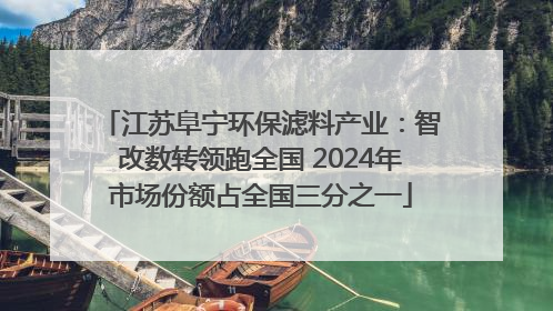 江苏阜宁环保滤料产业：智改数转领跑全国 2024年市场份额占全国三分之一