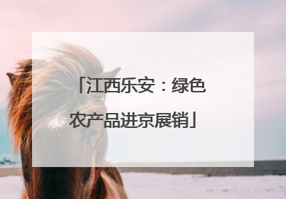 江西乐安：绿色农产品进京展销