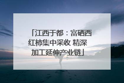 江西于都：富硒西红柿集中采收 精深加工延伸产业链