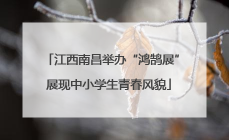 江西南昌举办“鸿鹄展” 展现中小学生青春风貌