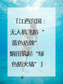 江西兴国：无人机飞防“蓝色盾牌” 烟田筑起“绿色防火墙”