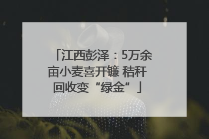 江西彭泽：5万余亩小麦喜开镰 秸秆回收变“绿金”
