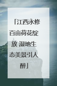 江西永修百亩荷花绽放 湿地生态美景引人醉