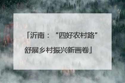 沂南：“四好农村路”舒展乡村振兴新画卷