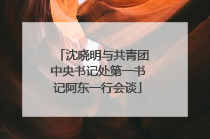 沈晓明与共青团中央书记处第一书记阿东一行会谈