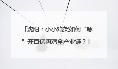 沈阳：小小鸡架如何“啄”开百亿肉鸡全产业链？