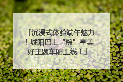 沉浸式体验端午魅力！城阳巴士“粽”享美好主题车厢上线！
