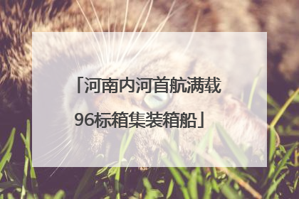 河南内河首航满载96标箱集装箱船