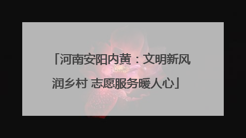 河南安阳内黄：文明新风润乡村 志愿服务暖人心
