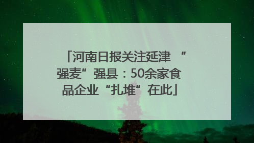 河南日报关注延津 “强麦”强县：50余家食品企业“扎堆”在此