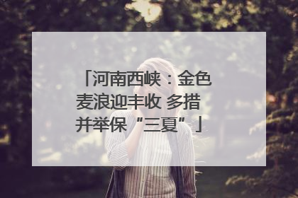 河南西峡：金色麦浪迎丰收 多措并举保“三夏”