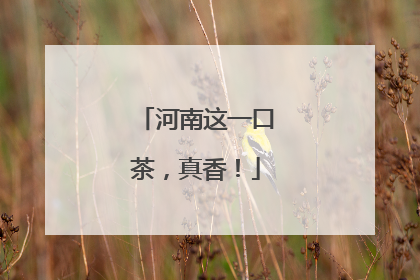 河南这一口茶，真香！