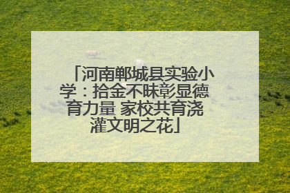 河南郸城县实验小学：拾金不昧彰显德育力量 家校共育浇灌文明之花