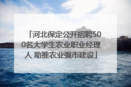 河北保定公开招聘500名大学生农业职业经理人 助推农业强市建设