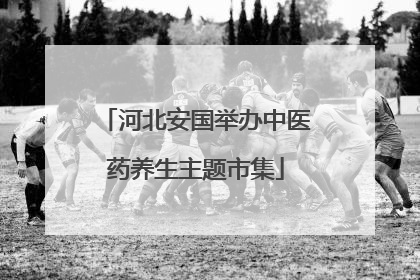 河北安国举办中医药养生主题市集