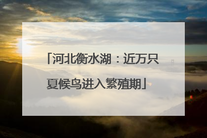 河北衡水湖：近万只夏候鸟进入繁殖期