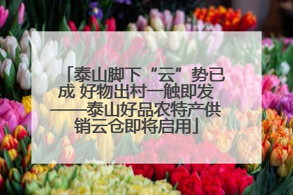 泰山脚下“云”势已成 好物出村一触即发——泰山好品农特产供销云仓即将启用