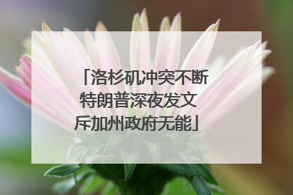 洛杉矶冲突不断 特朗普深夜发文斥加州政府无能