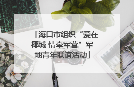 海口市组织“爱在椰城 情牵军营”军地青年联谊活动