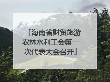海南省财贸旅游农林水利工会第一次代表大会召开