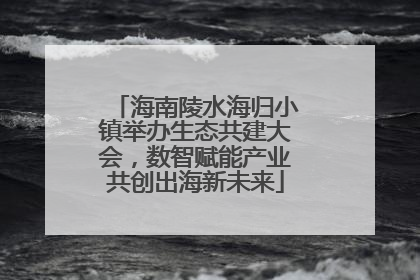 海南陵水海归小镇举办生态共建大会，数智赋能产业共创出海新未来