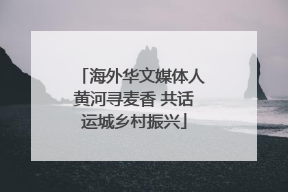 海外华文媒体人黄河寻麦香 共话运城乡村振兴