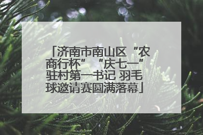 济南市南山区“农商行杯”“庆七一”驻村第一书记 羽毛球邀请赛圆满落幕
