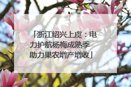 浙江绍兴上虞：电力护航杨梅成熟季 助力果农增产增收
