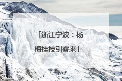 浙江宁波：杨梅挂枝引客来