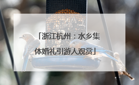 浙江杭州：水乡集体婚礼引游人观赏