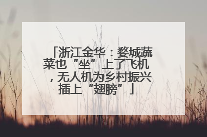 浙江金华：婺城蔬菜也“坐”上了飞机，无人机为乡村振兴插上“翅膀”