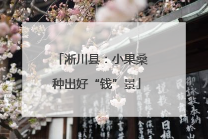 淅川县：小果桑种出好“钱”景