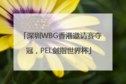 深圳WBG香港邀请赛夺冠，PEL剑指世界杯