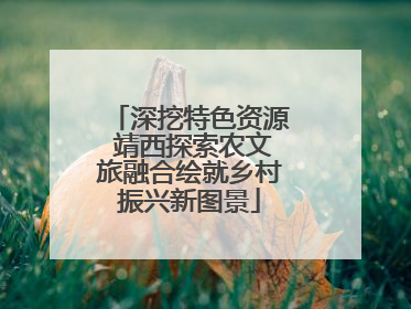 深挖特色资源 靖西探索农文旅融合绘就乡村振兴新图景
