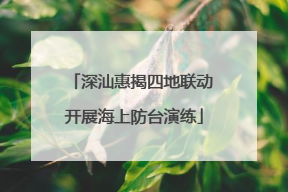深汕惠揭四地联动开展海上防台演练