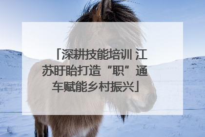 深耕技能培训 江苏盱眙打造“职”通车赋能乡村振兴