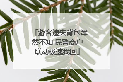 游客遗失背包浑然不知 民警商户联动极速找回