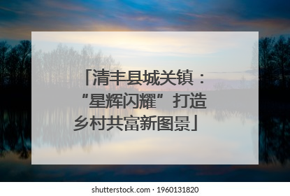 清丰县城关镇：“星辉闪耀”打造乡村共富新图景