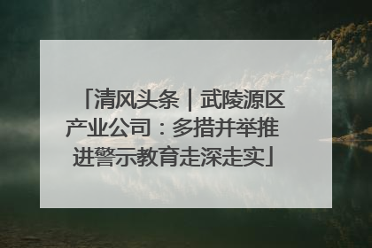 清风头条｜武陵源区产业公司：多措并举推进警示教育走深走实
