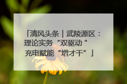 清风头条｜武陵源区：理论实务“双驱动 ” 充电赋能“增才干”