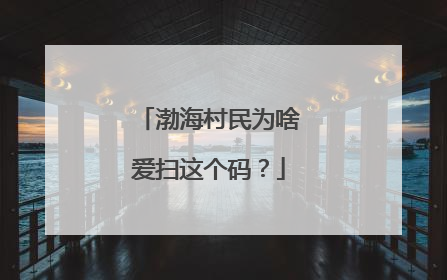 渤海村民为啥爱扫这个码？