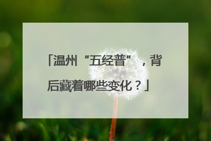 温州“五经普”，背后藏着哪些变化？