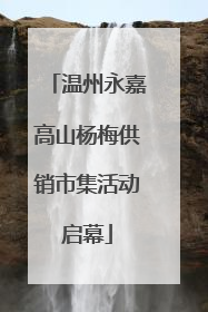温州永嘉高山杨梅供销市集活动启幕