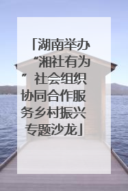 湖南举办“湘社有为”社会组织协同合作服务乡村振兴专题沙龙
