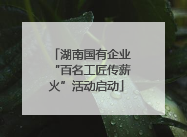 湖南国有企业“百名工匠传薪火”活动启动