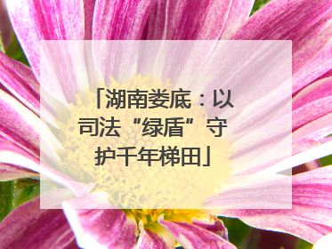湖南娄底：以司法“绿盾”守护千年梯田