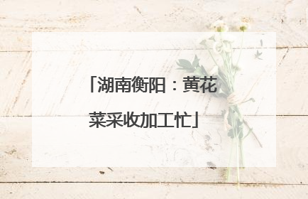 湖南衡阳：黄花菜采收加工忙