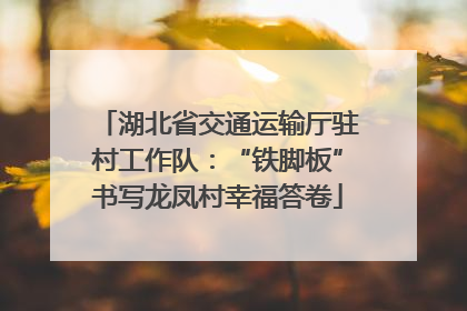 湖北省交通运输厅驻村工作队：“铁脚板”书写龙凤村幸福答卷