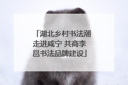 湖北乡村书法潮走进咸宁 共商李邕书法品牌建设