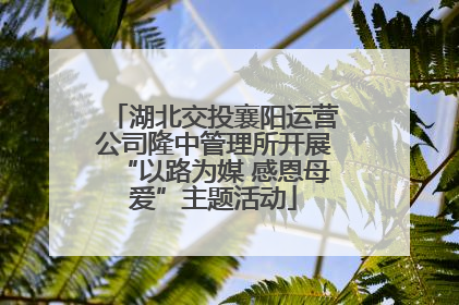 湖北交投襄阳运营公司隆中管理所开展“以路为媒 感恩母爱”主题活动